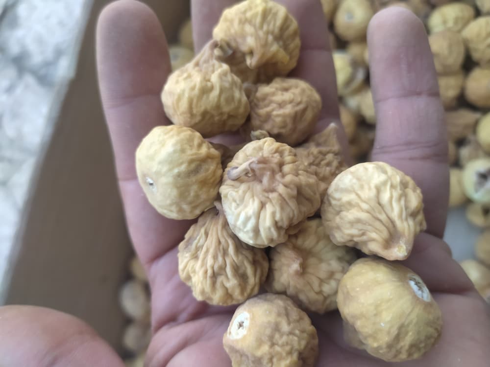 خرید انلاین انجیرخشک زرد درشت (AAA) با کیفیت و ارزان